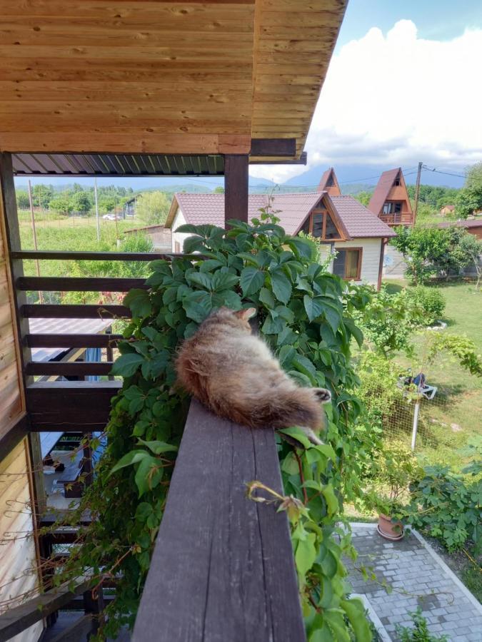 Гостевой Дом Фазенда Hotel ปิซุนดา ภายนอก รูปภาพ